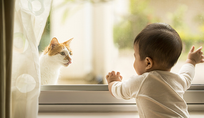 Baby looking at cat