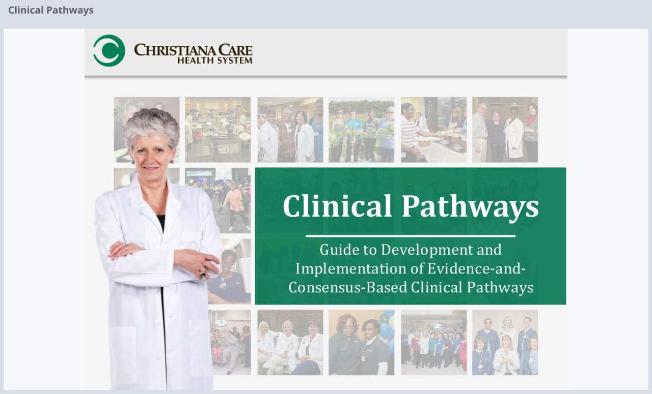 Clinical Pathways Website image