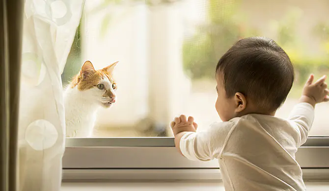 Baby-looking-at-cat