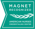 Magnet Recognized