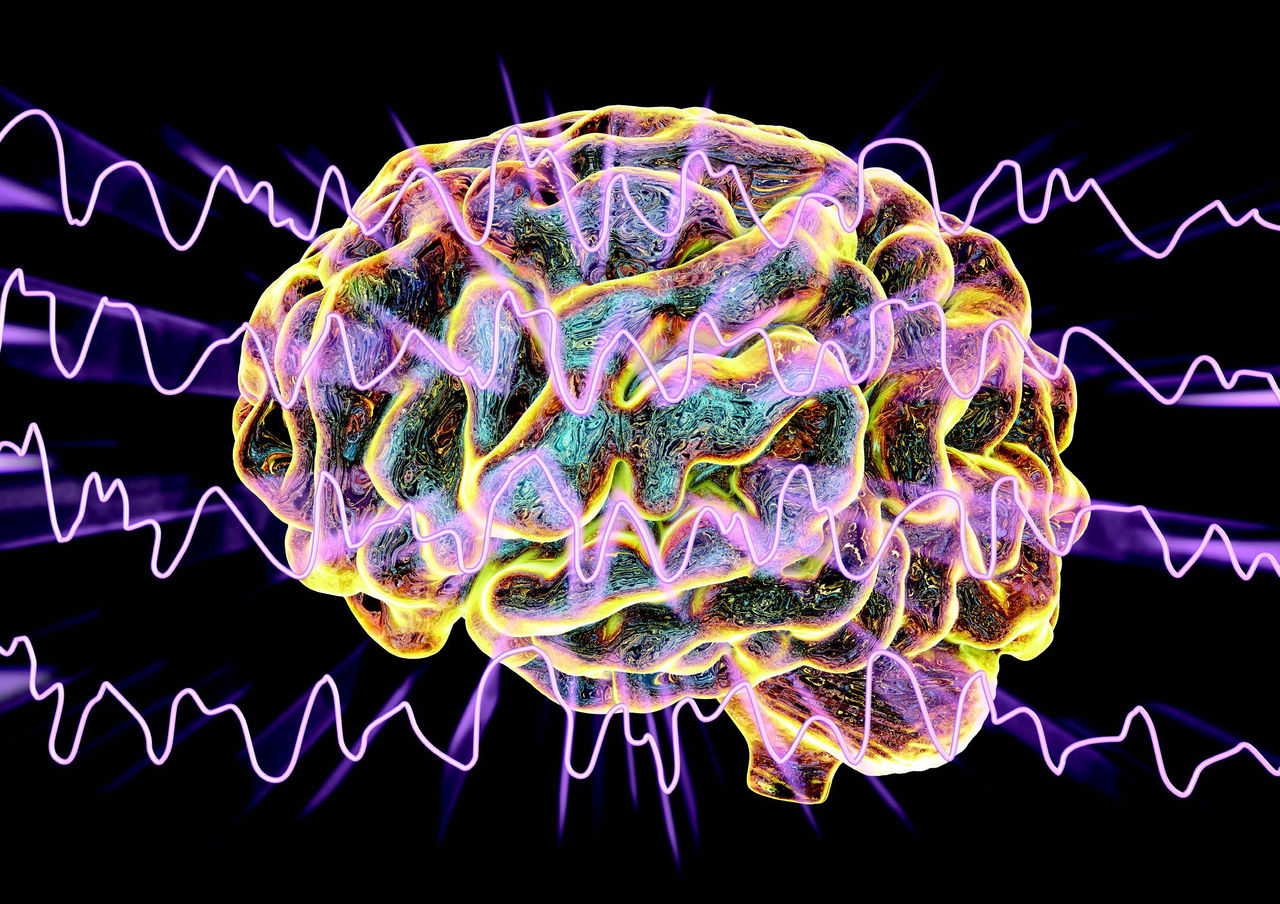 An artist's rendering of a human brain, with brain waves imposed over it