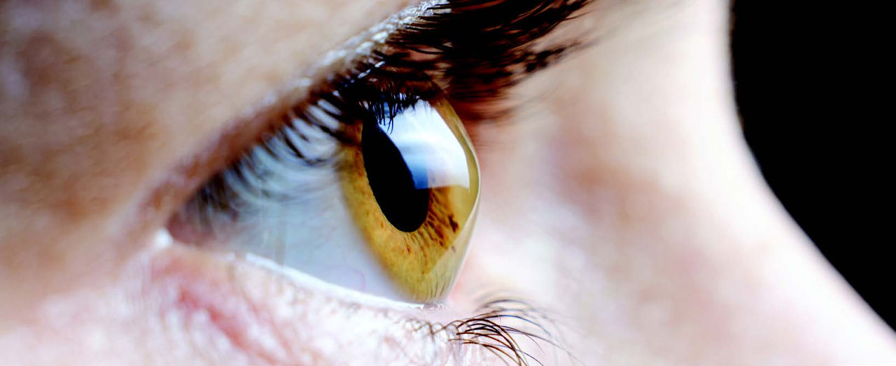 A side-angle closeup of an eye