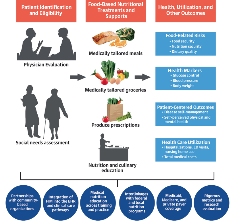 An infographic chart showing how food and wellness are connected