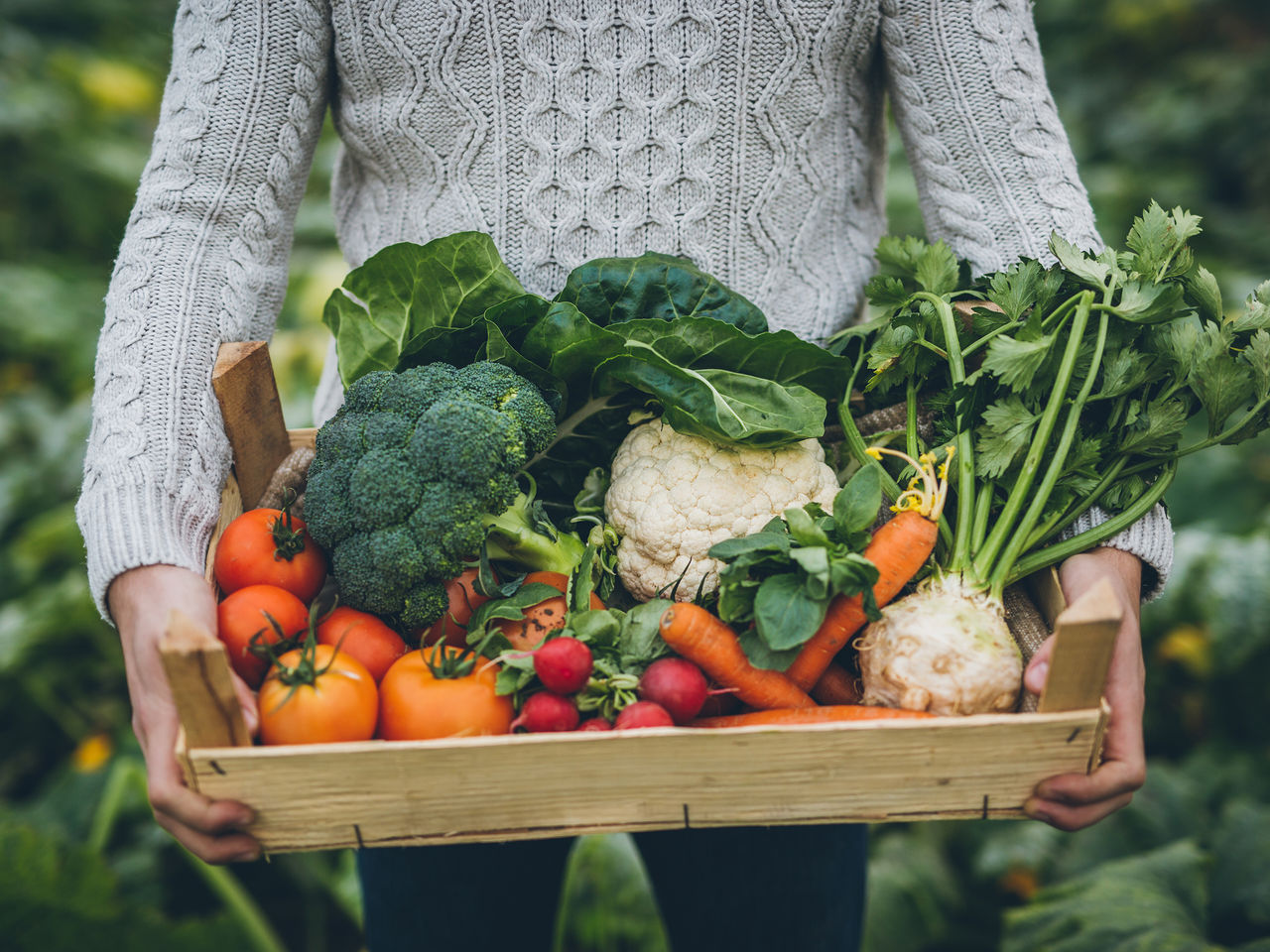 Portrait of a person wearing a sweater carrying vegetables in a crate at a farm