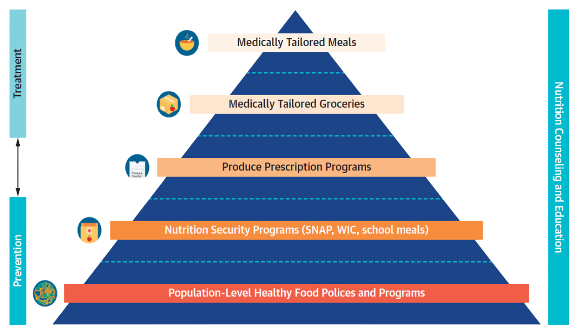 An infographic showing a pyramid diagram of how food impacts health and wellness