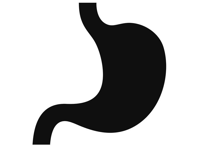 Stomach icon isolated on white background
