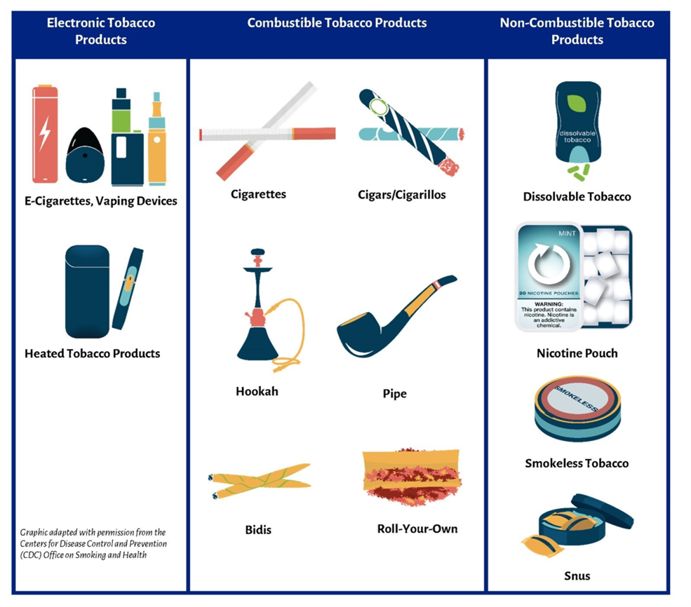 Infografía que muestra varios tipos de productos a base de tabaco